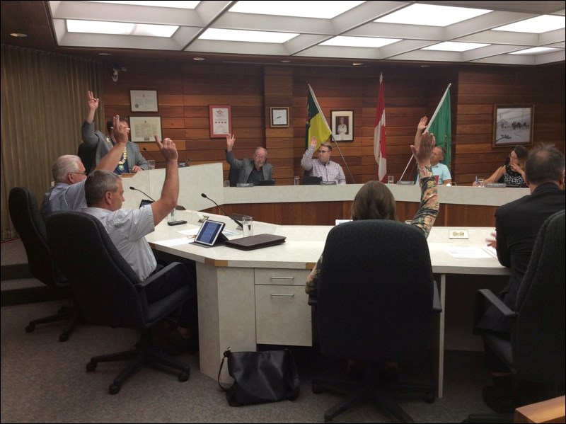 council aye
