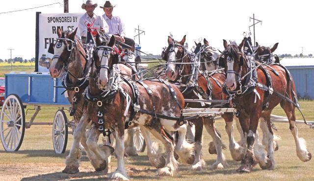 Creelman Fair