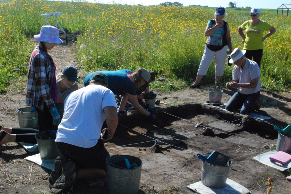 Original Humboldt Dig 2017