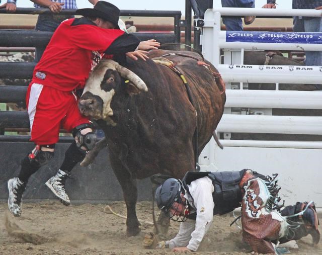 Midale Bull Bash