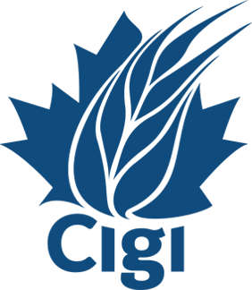 Cigi