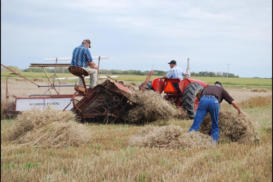 There will be plenty to watch during the Humboldt Area Vintage Club Vintage Days on Aug. 19-20 at the Humboldt Area Vintage Club, including the antique tractor and truck pull, machinery demonstrations, and the main event, the threshing demonstration to wrap up the weekend. photo by Becky Zimmer