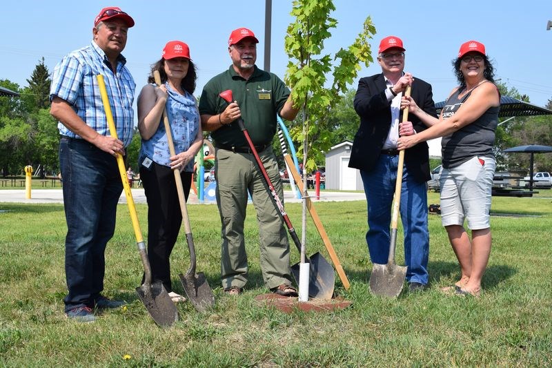 Tree Planting