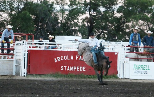 Arcola Rodeo
