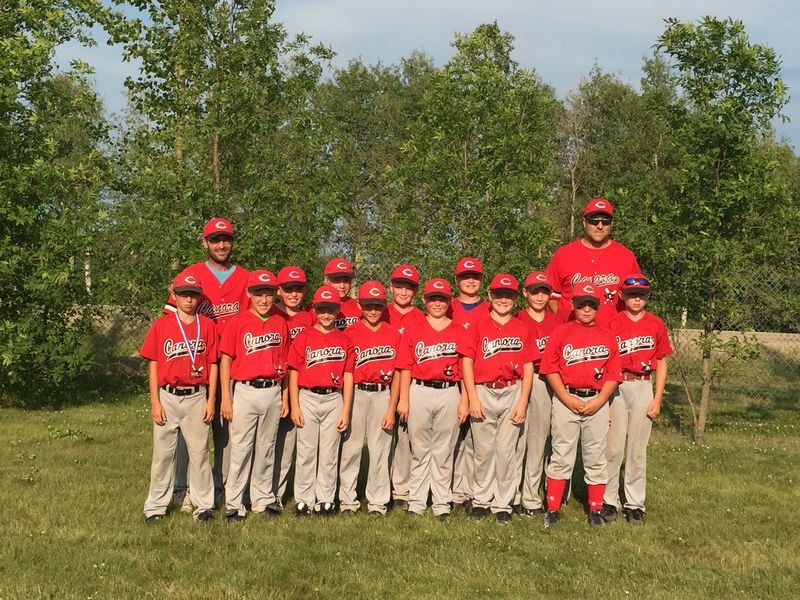 Provincial mosquito team