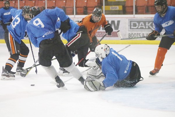 Maulers Camps