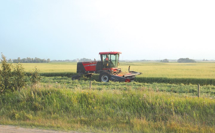 When the end of August approaches farmers across the Canadian Prairies prepare for the busy harvest season. This year the wheels are already turning, as is the case with this producer west of the city. With hot weather forecast in the days ahead most farmeres will be undertaking swatching and conmbining efforts.