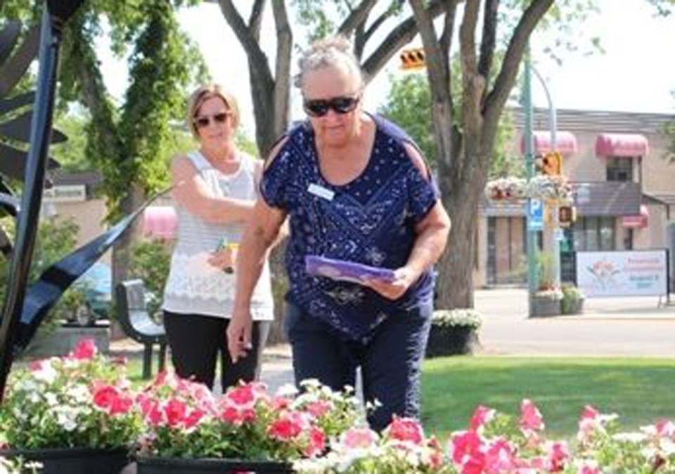 Communities in Bloom