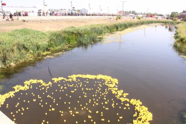 Duck derby