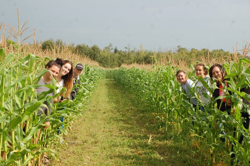 Maze Fun