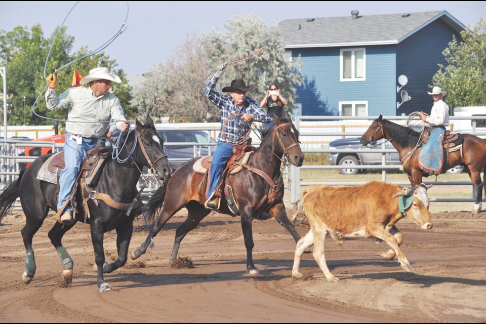 Duane Gillespie of Bienfait (left) and Brian Ross of Estevan compete in the team roping event.