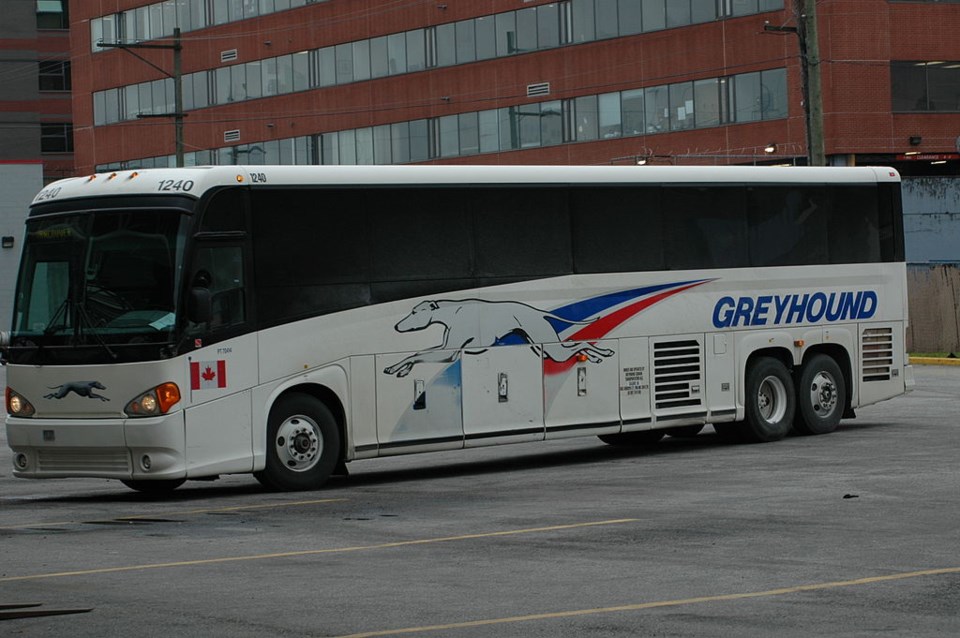Greyhound