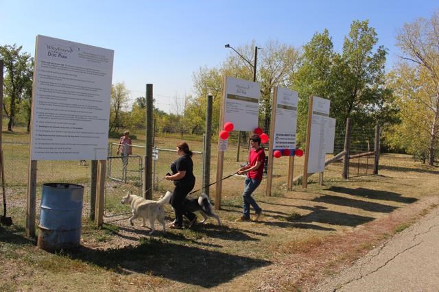 Dog park