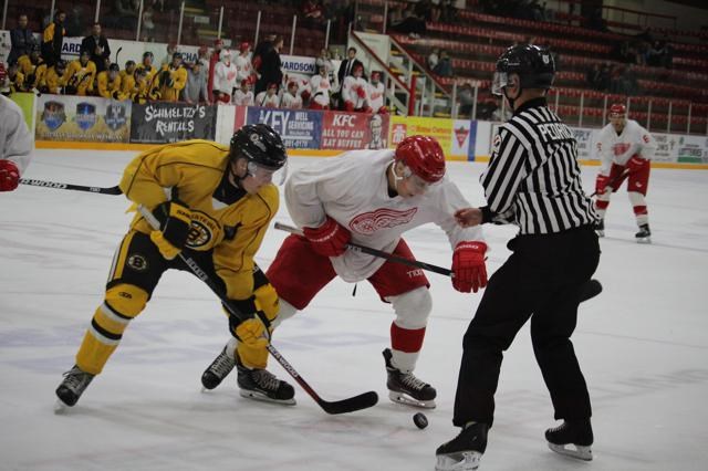 Red Wings preseason
