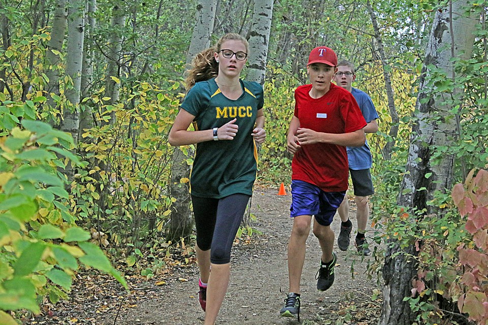 Tisdale Meet