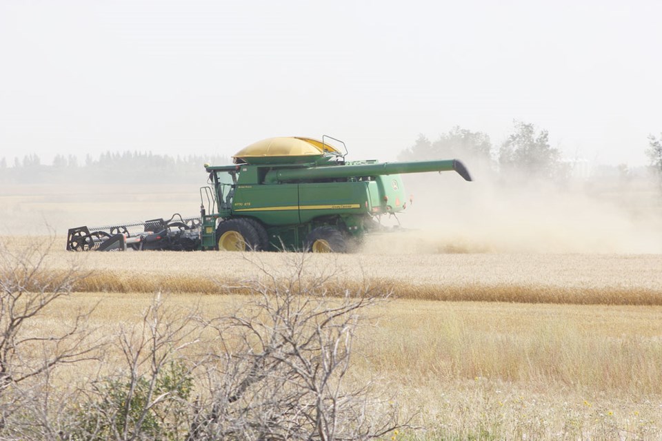 Harvest 2017