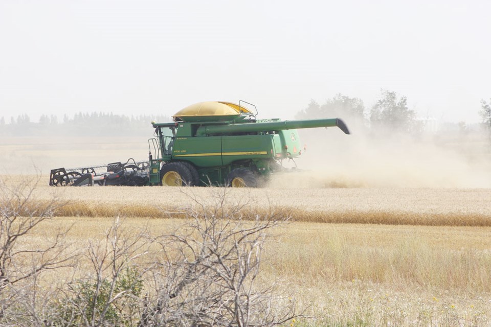 Harvest 2017