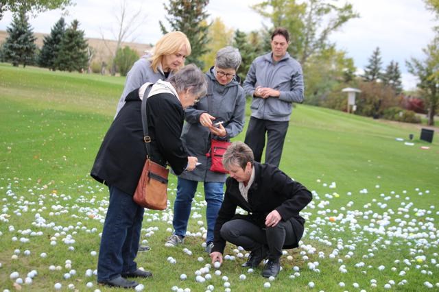 Rotary Golfball Drop