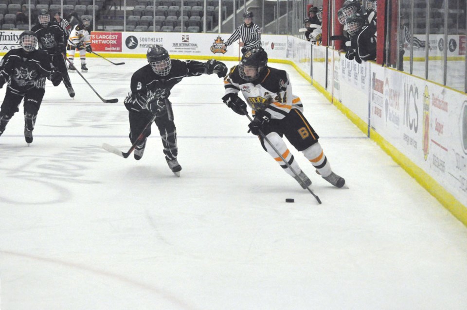 TS&M Bruins