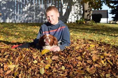 Taking advantage of a sunny fall afternoon, Jaxon Bisschop and his dog Kaos took a break from raking and played in a pile of leaves on October 4.