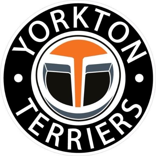 Terriers Logo