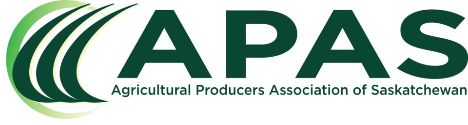APAS logo