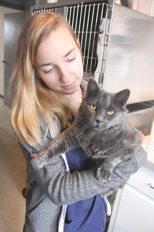 Humane Society