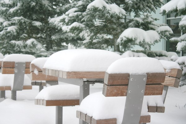 Jack Frost didn’t wait long to get started this year. Yorktonites woke up on Saturday to see a thick layer of snow coating the town. Say goodbye to autumn.