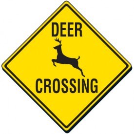 deer crossing