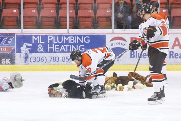 At Friday night’s Yorkton Terriers hockey game against the Melville Millionaires, the Terriers hosted their annual Teddy Bear Toss. When the Terriers scored their first goal, less than three minutes into play, fans littered the ice with teddy bears. The bears are collected and are given to the Salvation Army for children in need at Christmas time.