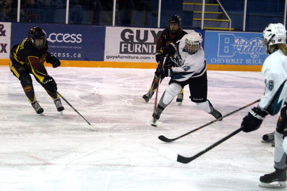 Sharks Rebels