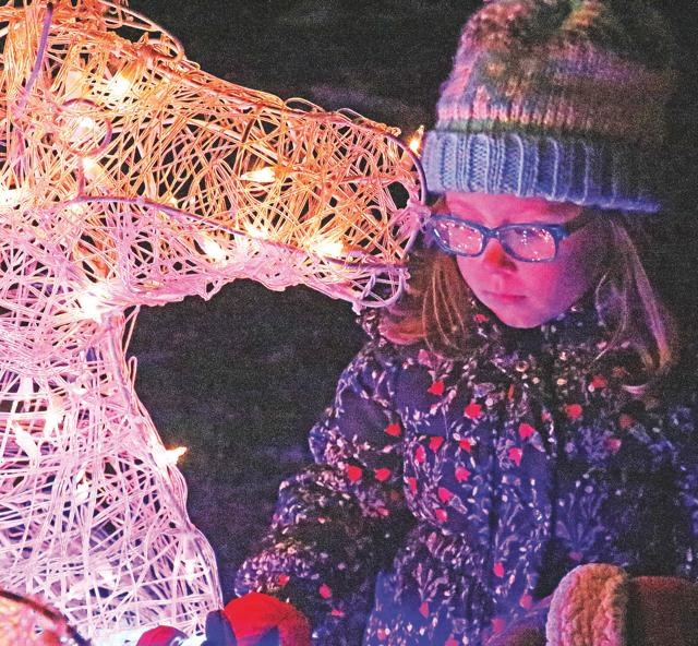 Allen Park lights