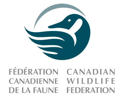 CWF