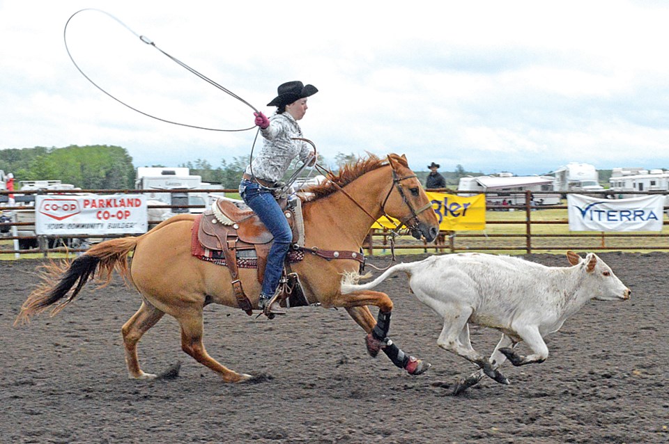 Rodeo