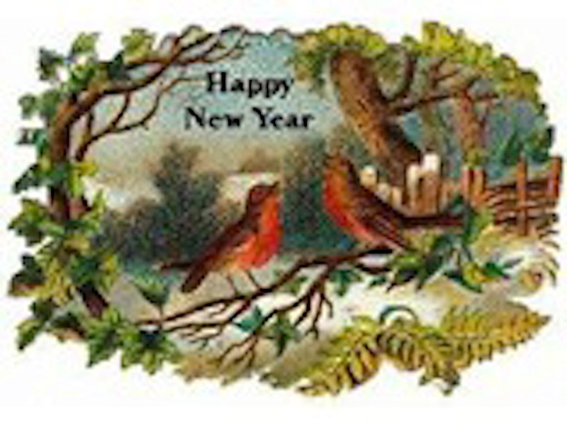 histnewyear