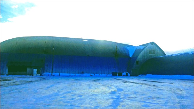 The Medstead Arena