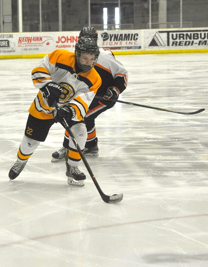 Bruins