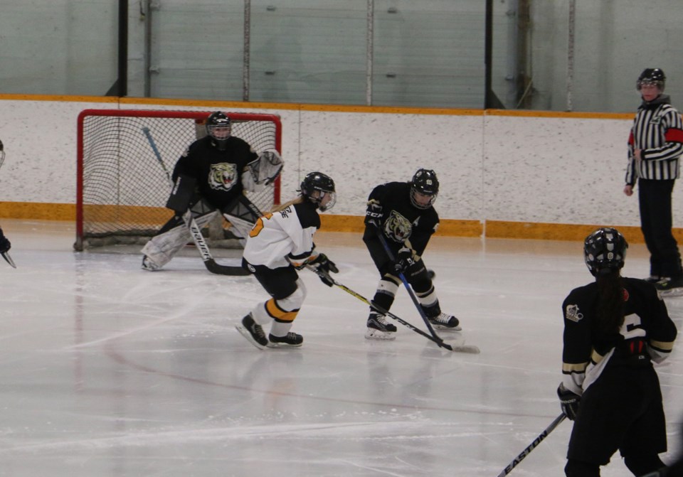 Bantam Female Hockey