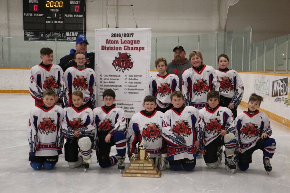 Minor Hockey Banner