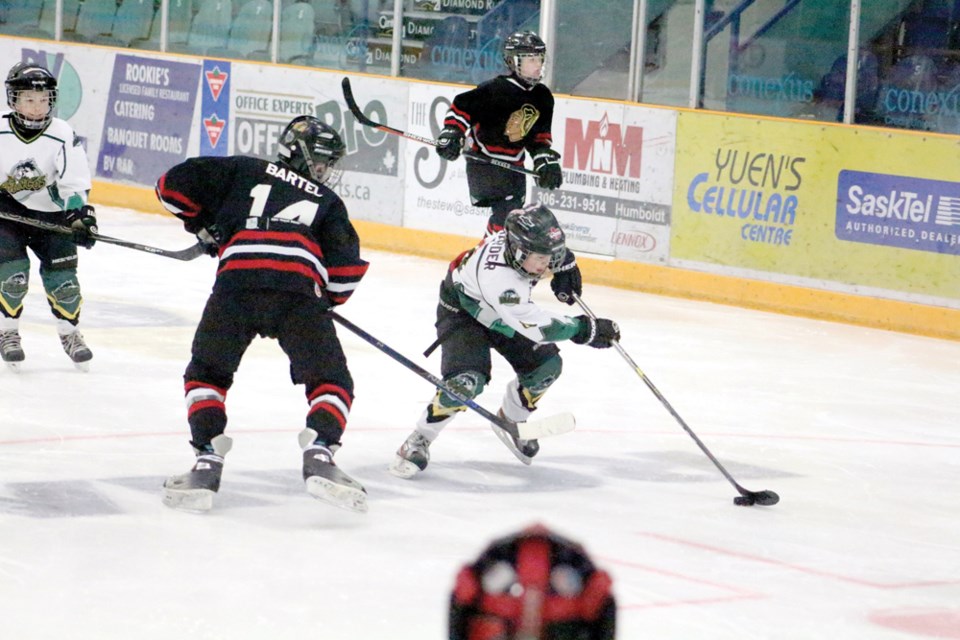 Minor Hockey