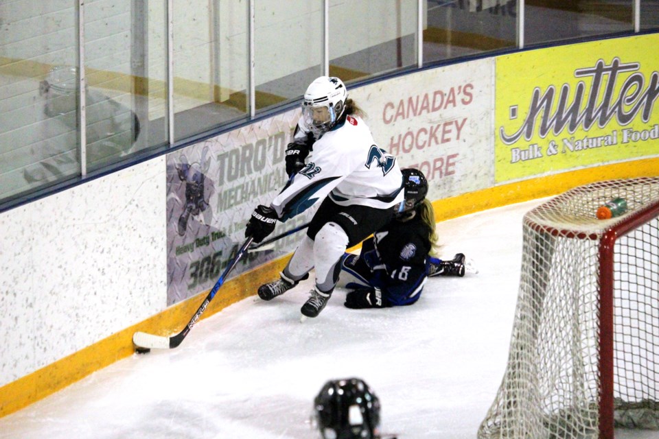 Sharks Wildcats