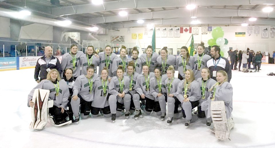 Gold medal hockey