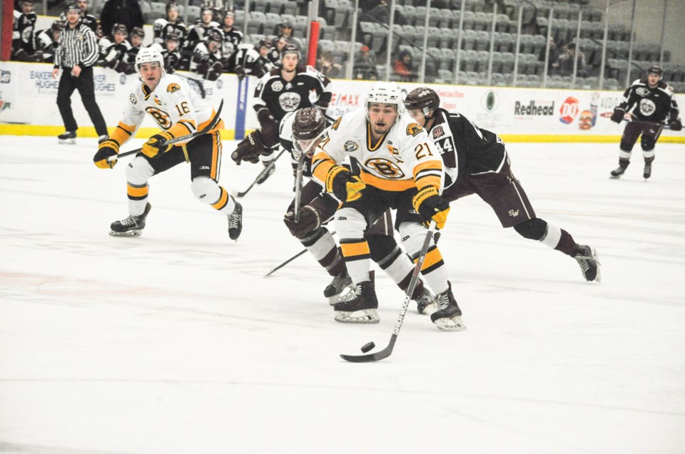 Bruins
