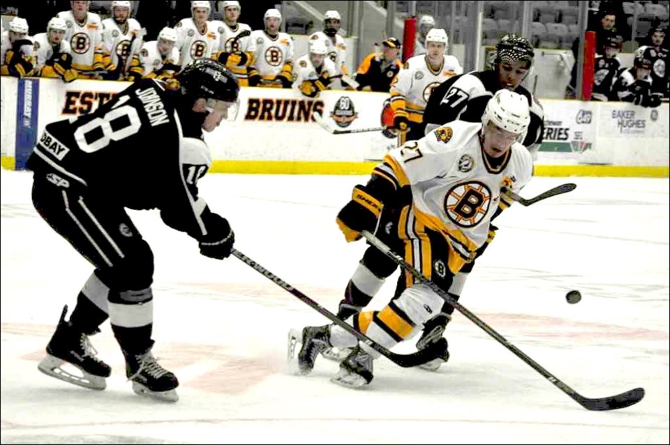 Bombers Bruins