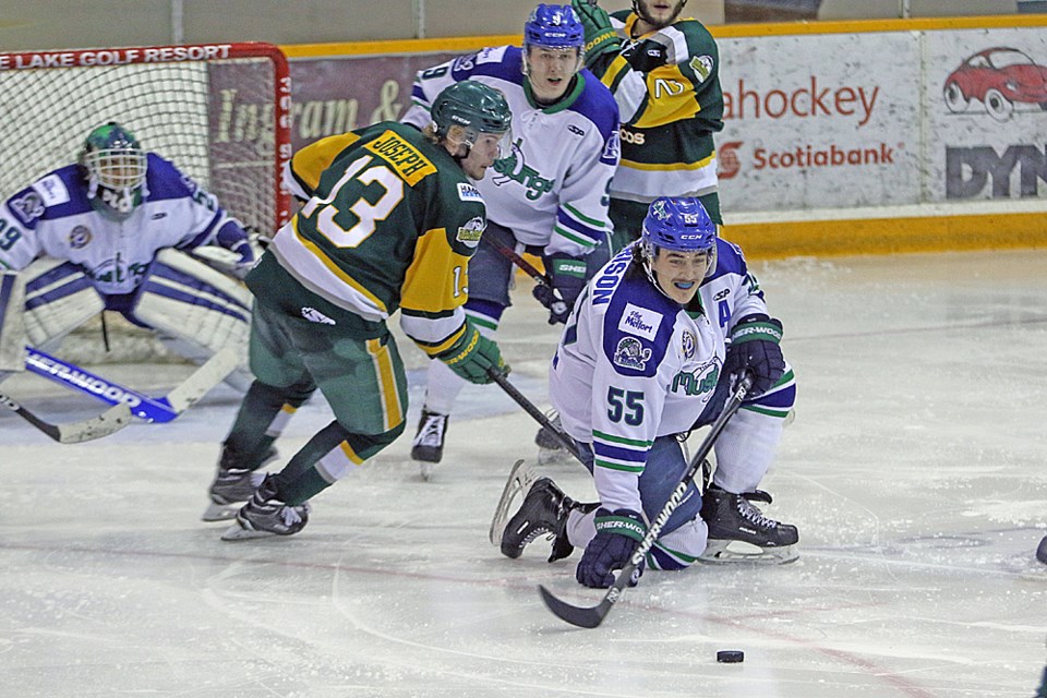 Melfort Mustangs