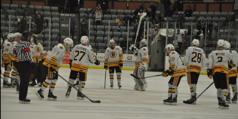 Bruins