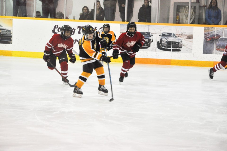 Bruins novice