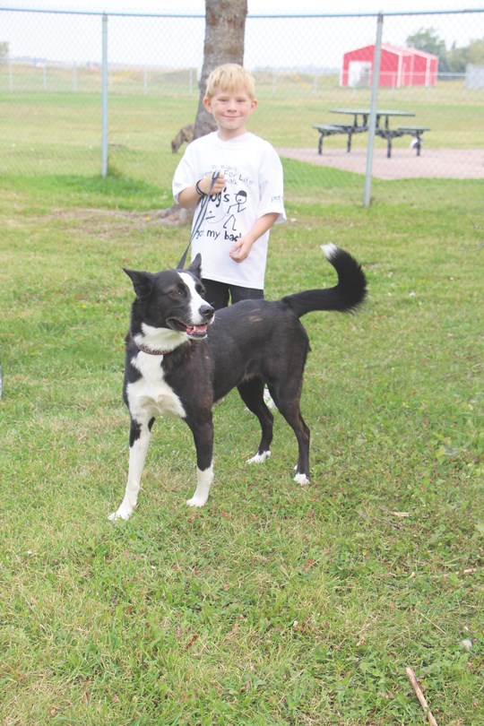 Dog