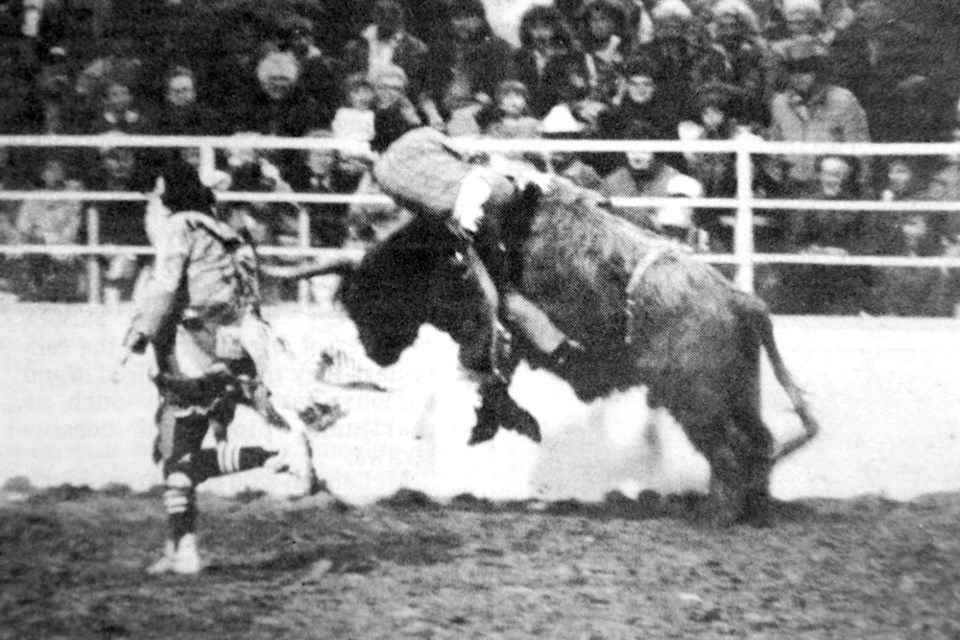 A cowboy is about to meet the arena floor the hard way as a bull tosses him off during the Rambler Rodeo.