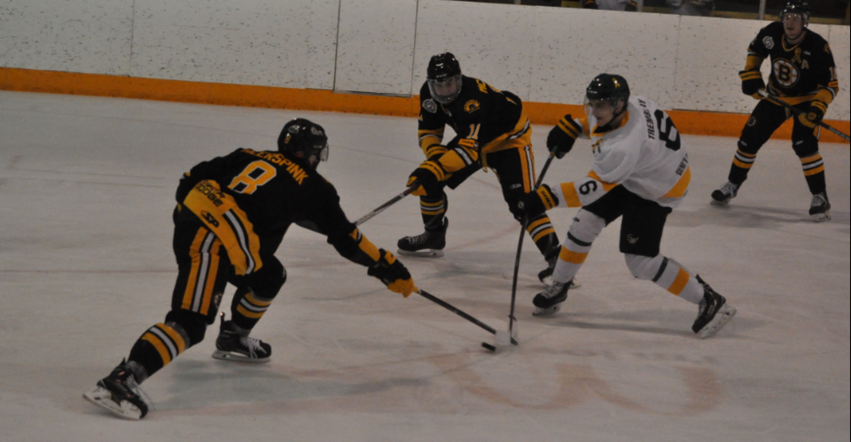 Bruins